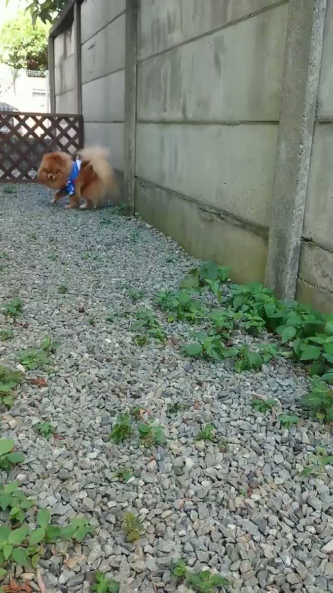 Mkekactaupgkhm Mkekactaupgkhm