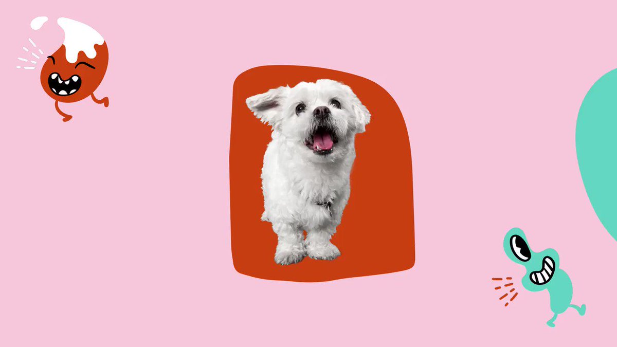 Mohnacky Animal Hospitals (@Mohnacky_Vets) / Twitter Mohnacky Animal Hospitals (@Mohnacky_Vets) / Twitter