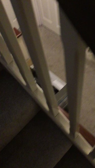 Sent hubby to refill my bull&rsquo;s drink and he walked back up to this. Oops&hellip;stopped it too soon. You can<a href="/tag/hotwife"class="tags"><span>#hotwife</span></a>