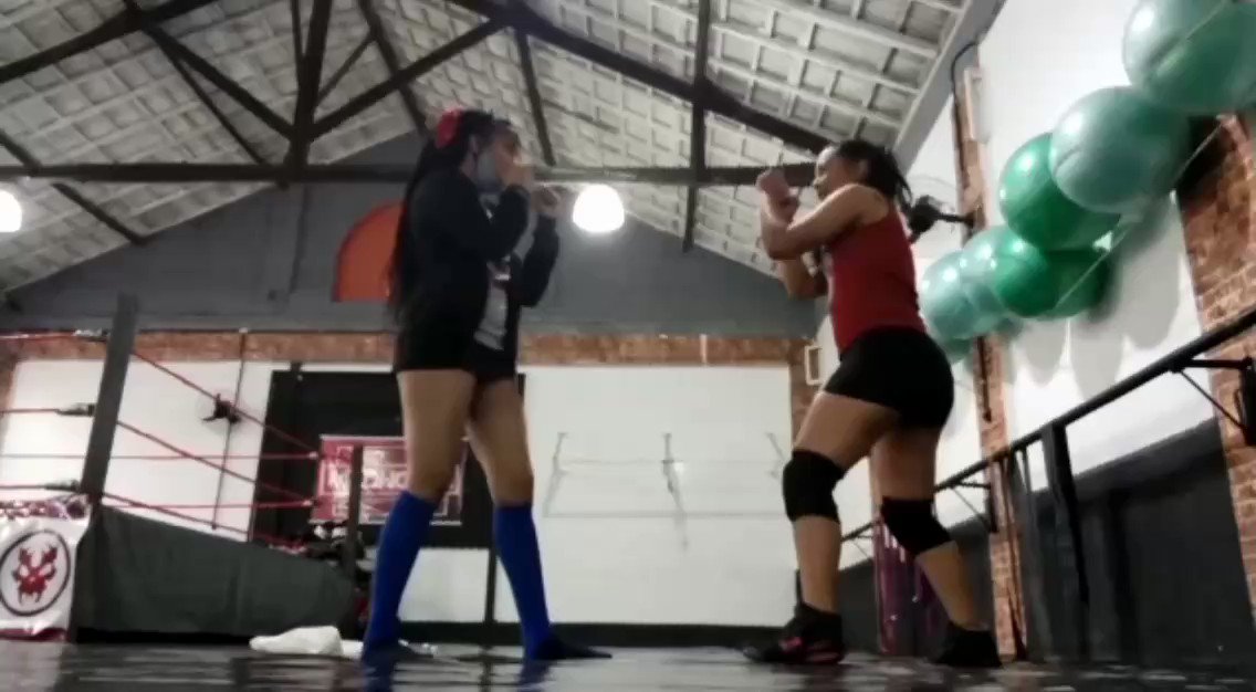 Lendas Da Luta Livre Em Geral WWE, NJPW, TNA e Mais.