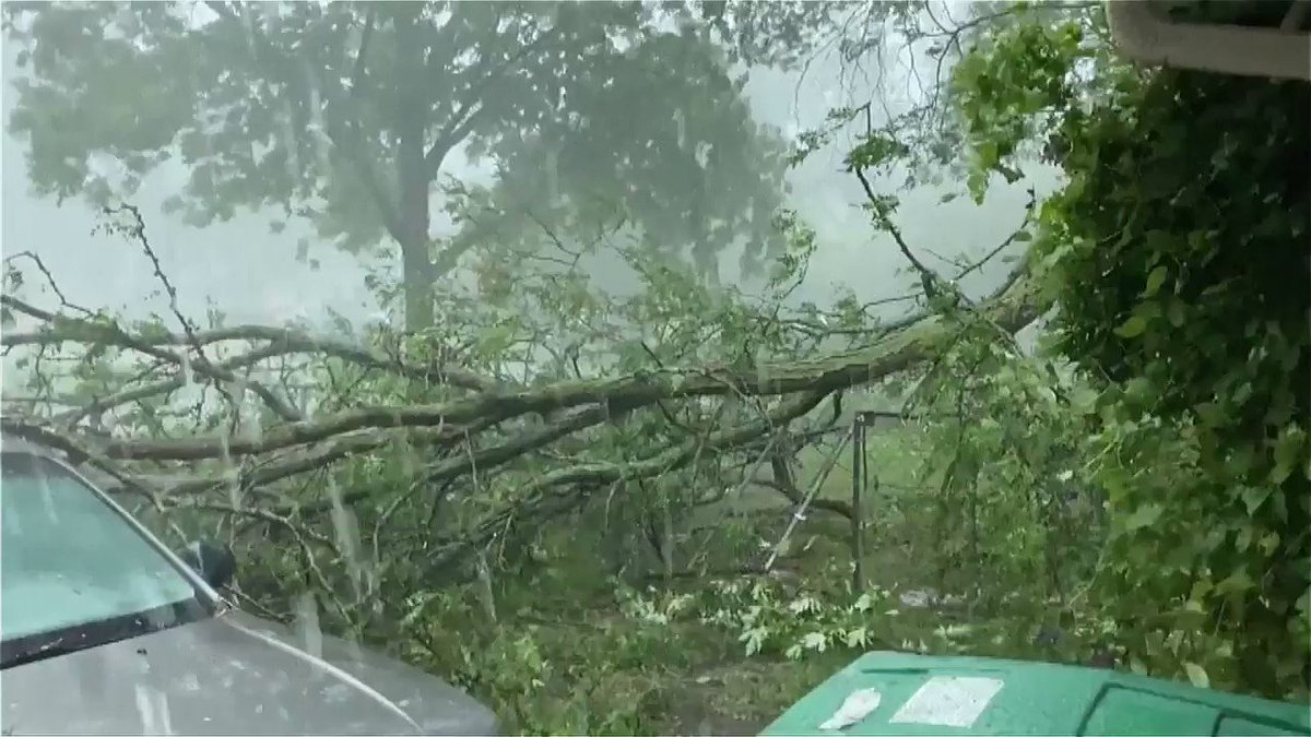 Tuesday marks one year since a historic derecho ripped across our state. This storm caused tremendous damage. It took an emotional toll on so many Iowans. Frankly, it changed many lives.

Watch for special coverage, stories, and reflections all day Tuesday on @weareiowa5news https://t.co/3inZxTVxet