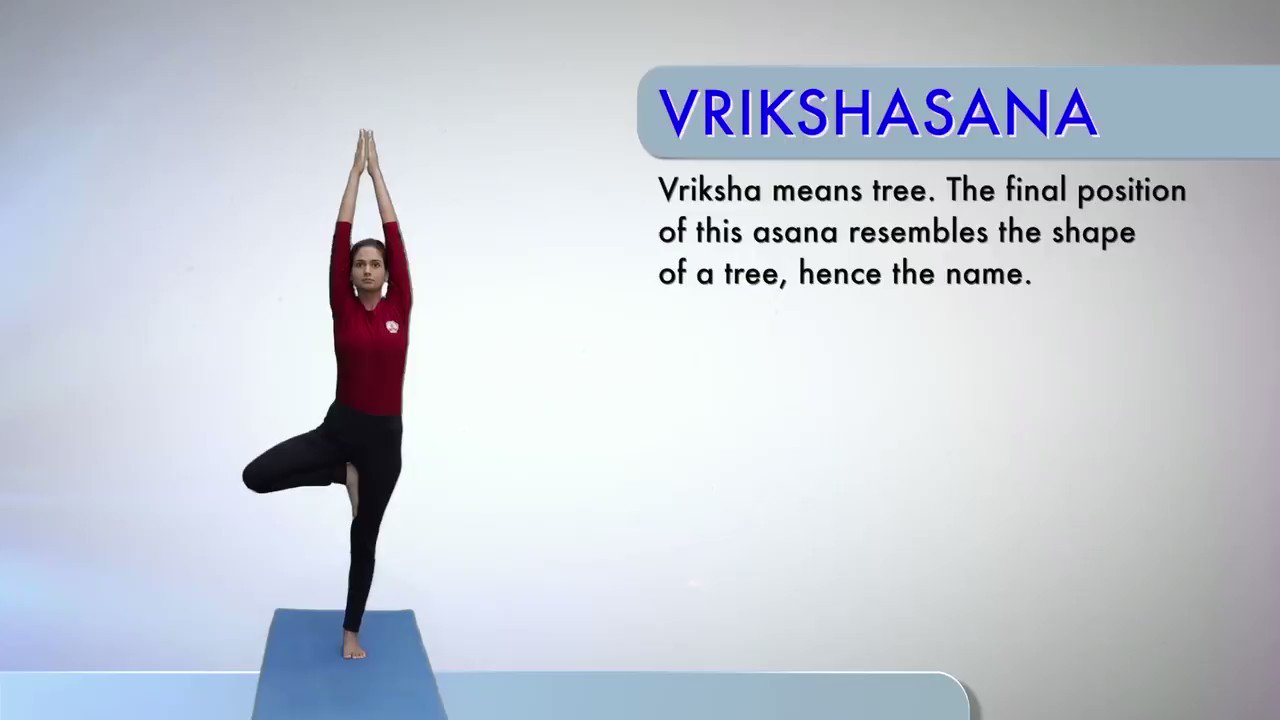Female in Yoga Tree pose, or Vrikshasa | Stock Image - Science Source Images