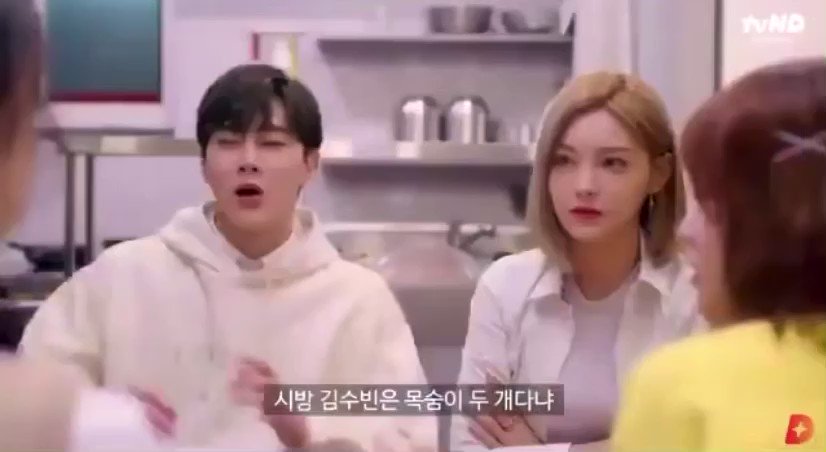 트위터, twitter - 딸플릭스