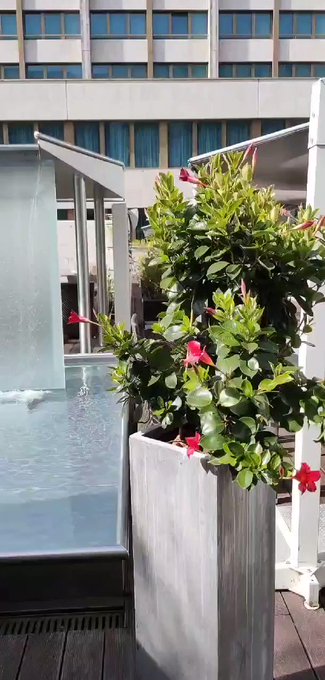 Regardez moi &ccedil;a un bijou un plaisir je suis combl&eacute;e 😍😍 #sexturylive #sexturyproduction @sexturylive @SexturyPxxx<a href="/tag/sexturylive"class="tags"><span>#sexturylive</span></a><a href="/tag/sexturyproduction"class="tags"><span>#sexturyproduction</span></a>