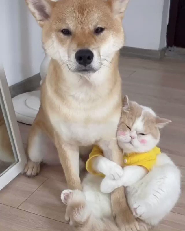 兄妹乱伦真实    