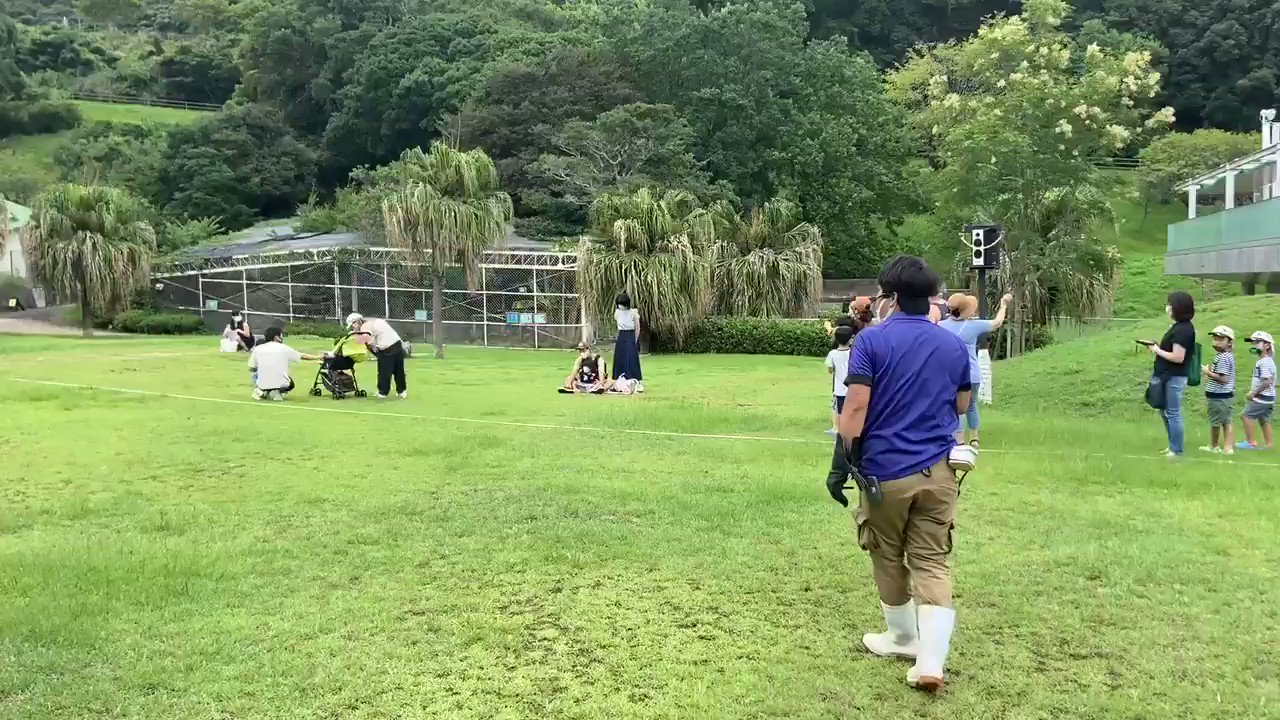 転勤族妻ヤドカリ Tenkin Yadokari Twitter