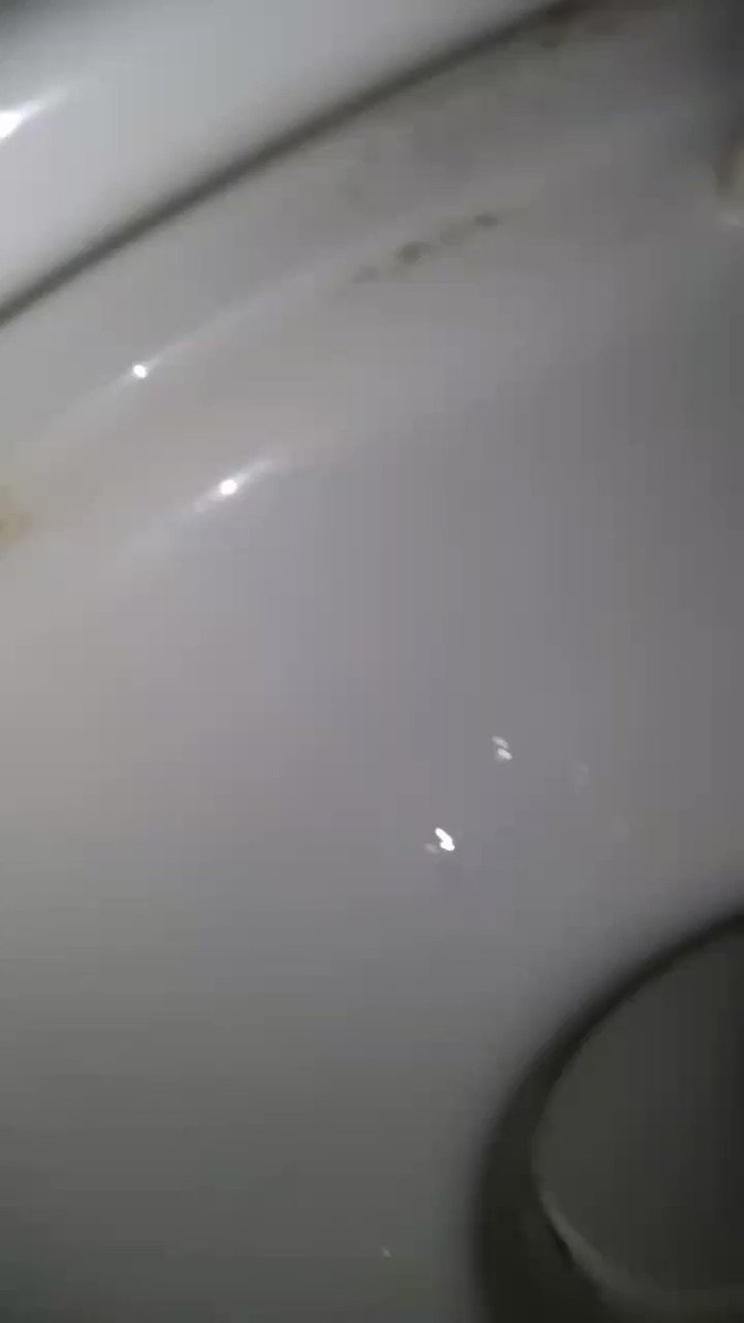 便器舐め　エロ 