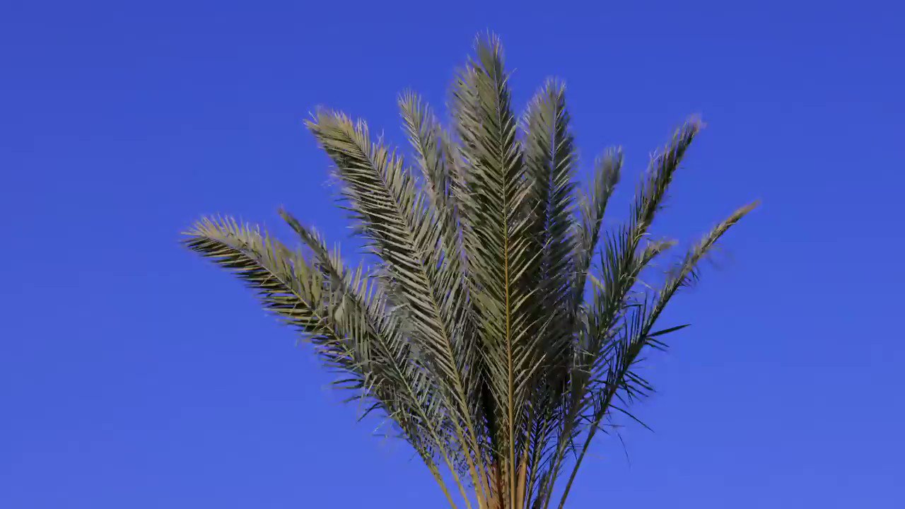 Video Quotes on Twitter "“Life without love is like a tree without