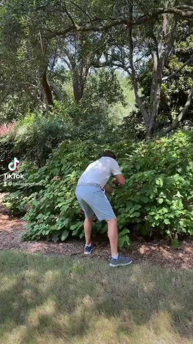 Grooming is very important gentlemen. Use code Eva for 20 % off this week only https://t.co/KVtlSE8CHT<a href="/tag/doge420"class="tags"><span>#doge420</span></a>