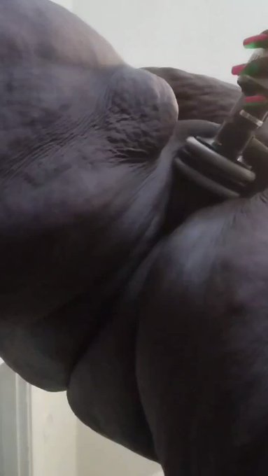 💦💦💦💦💦💦💦💦💦💦 https://t.co/s8LLQ9Pazu<a href="/tag/dm"class="tags"><span>#dm</span></a>