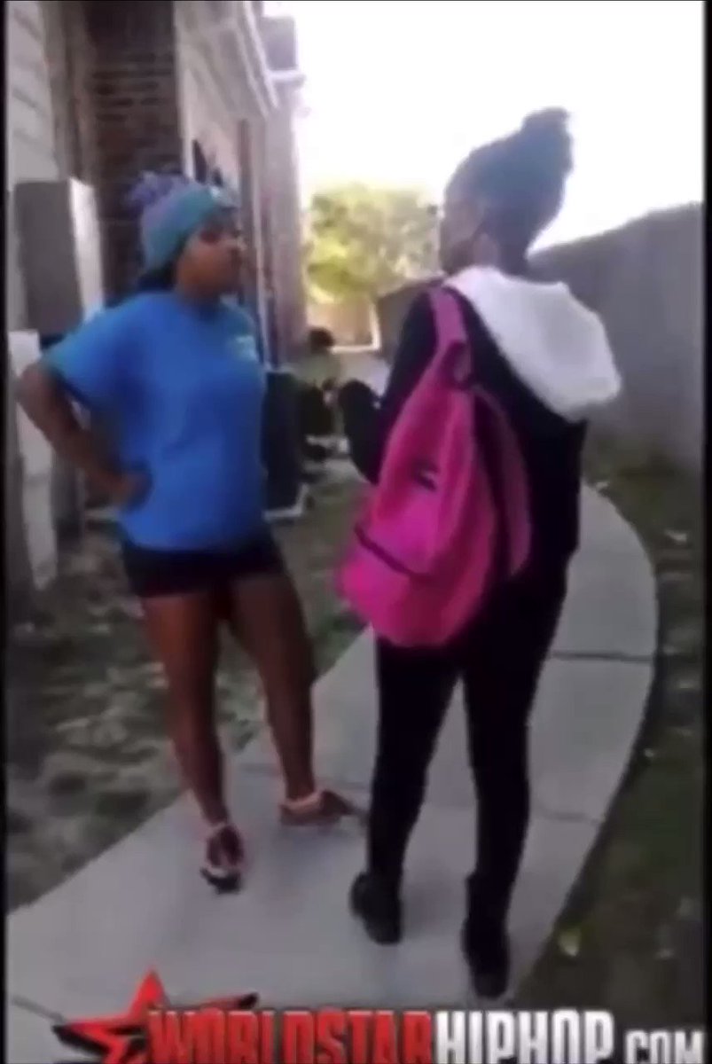 🌴ᴛʜᴇᴀʀᴛᴏꜰᴡᴀʀ🌴 on X: "Who remembers Sharkeisha😭 https://t.co/TU53VlHAdY"  / X