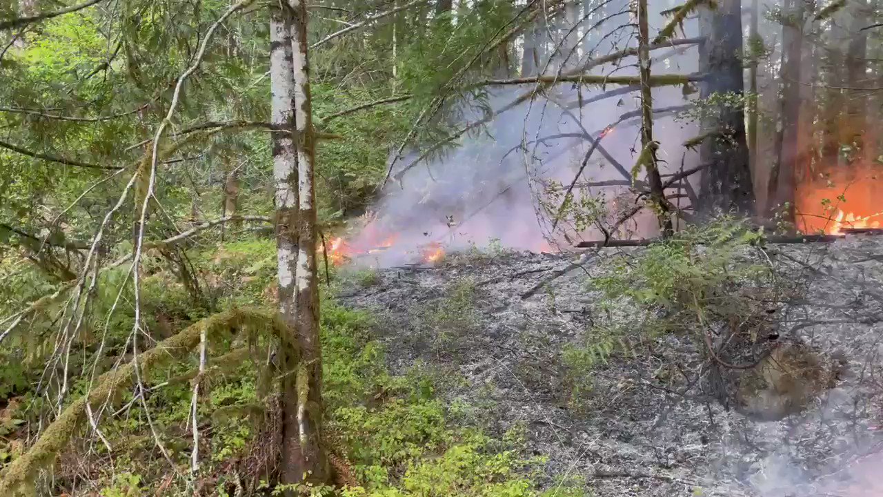 Wildfire Threat Port Alberni Campground Closure Impacts