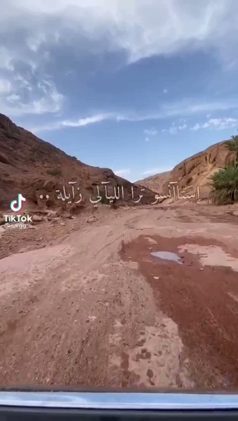 استانسو ترى الليالي زايله