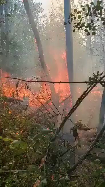 RT @MaineRangers: Newburgh fire. #MEfire contained at 1 acre. https://t.co/x05VKHqIYs