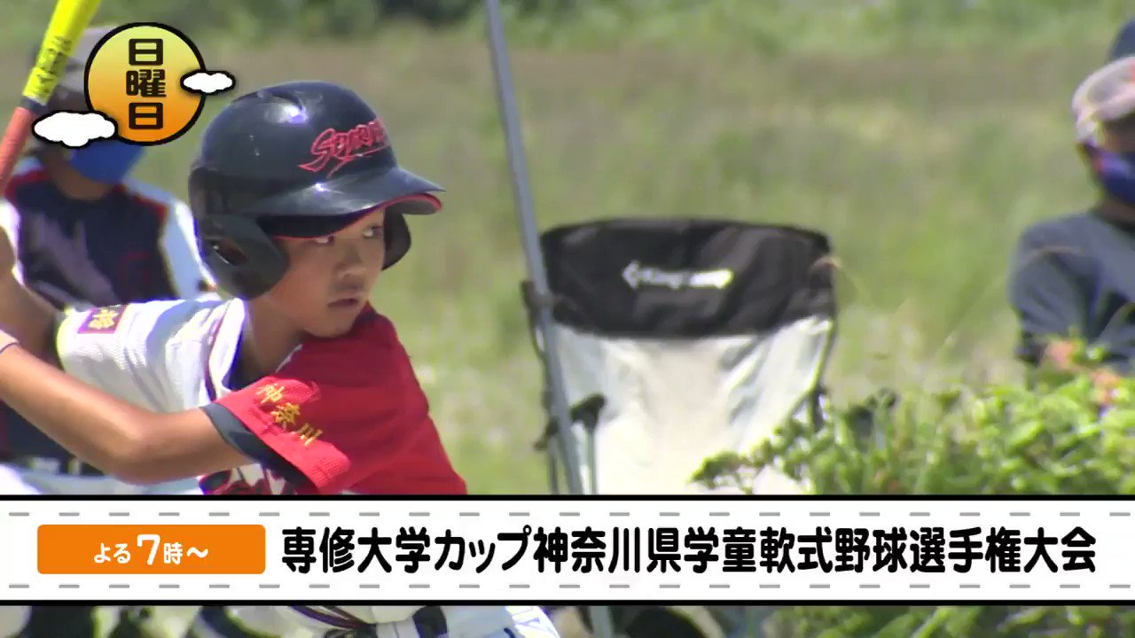 専修大学カップ Twitter Search Twitter
