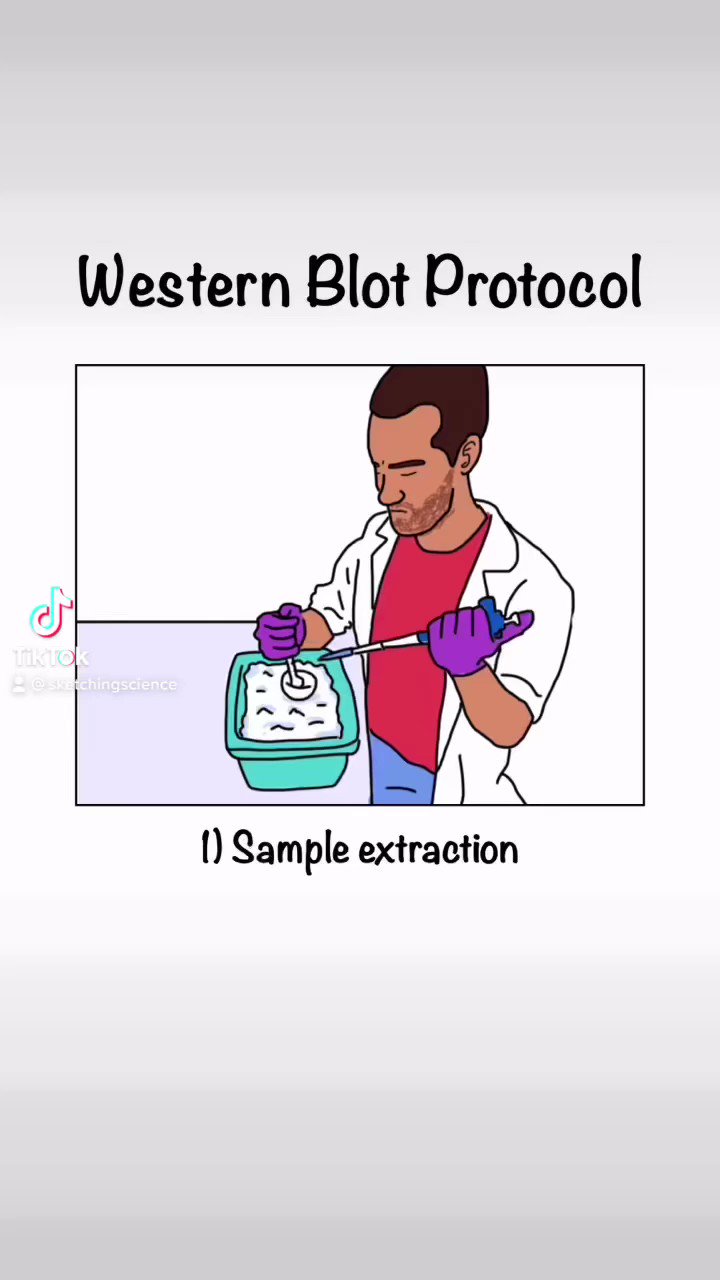 Sketching Science on Twitter: Sketching Science on Twitter:
