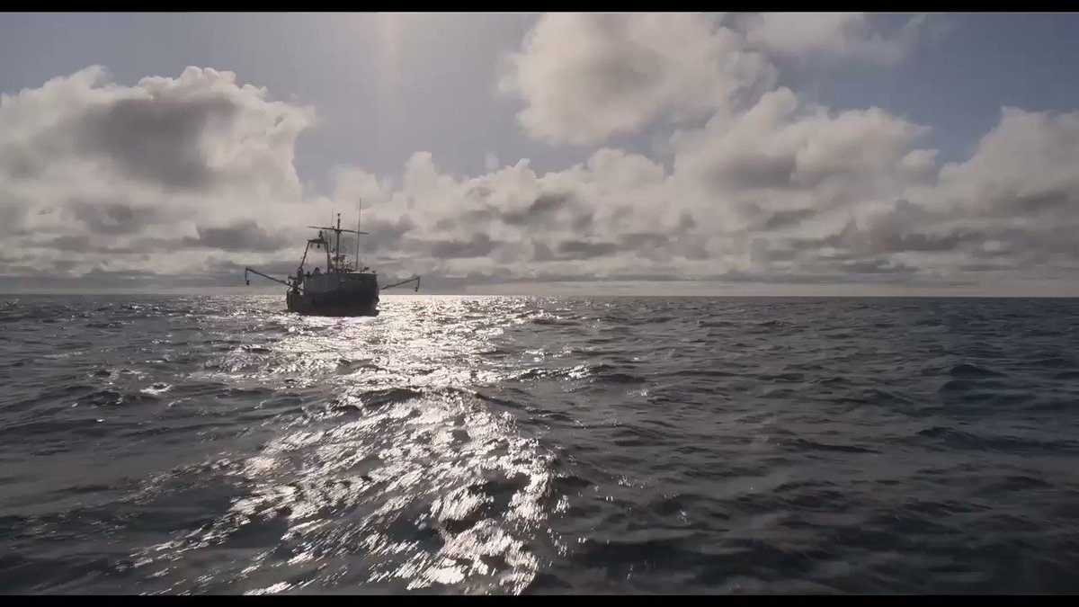 <#코다> X 아티스트 #아프로 #APRO 콜라보 MV ‘송곳니’ 🌊 ⠀ “소리 내어 울어도 될까요?” 대세 아티스트 아프로(APRO)의 음악과 <코다>가 만나...