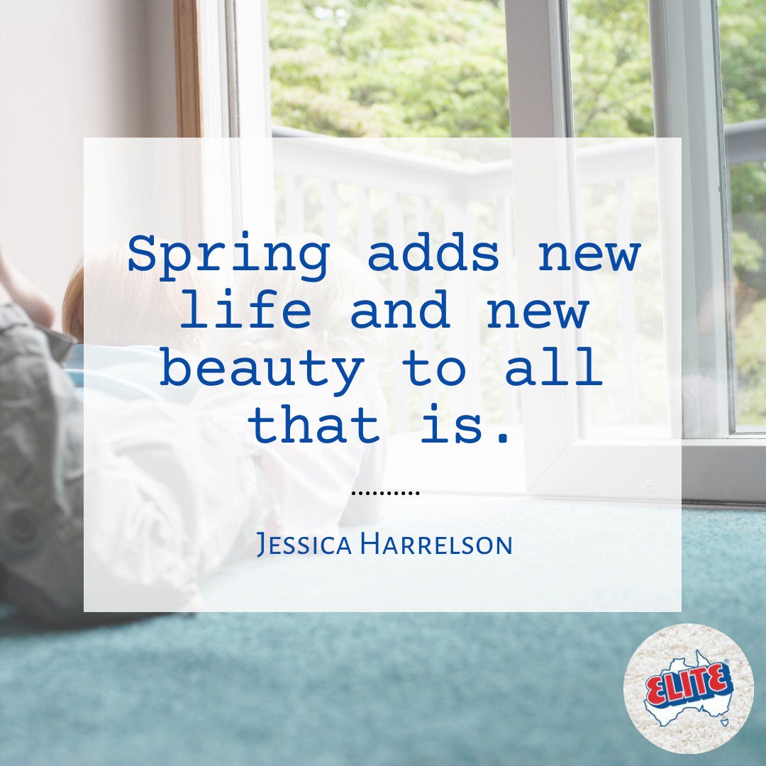 Elite Carpet Dry Cleaning (dry_elite) / Twitter