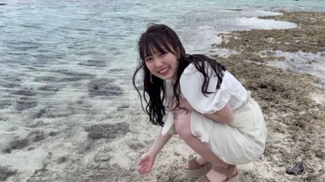 트위터, twitter - 딸플릭스