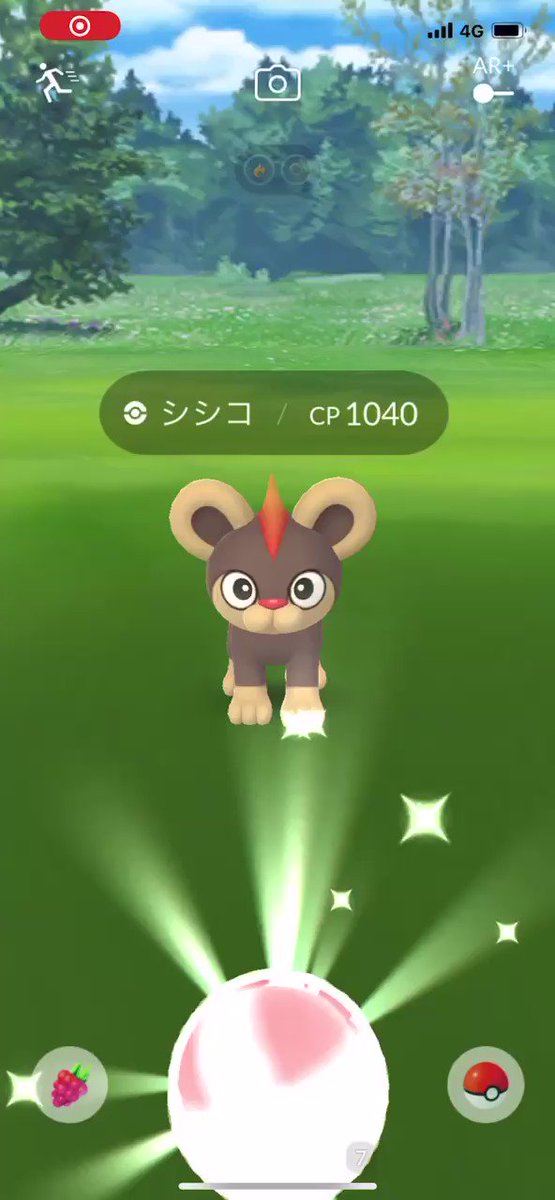 ポケモンgo シシコの入手方法 能力 技まとめ 攻略大百科 ポケモンgo シシコの入手方法 能力 技まとめ 攻略大百科