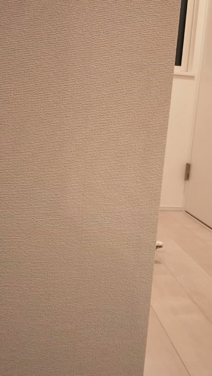だるまさんが転んだ！！を猫バージョンでやってみたｗｗｗ最高に可愛すぎるのでとにかくみて