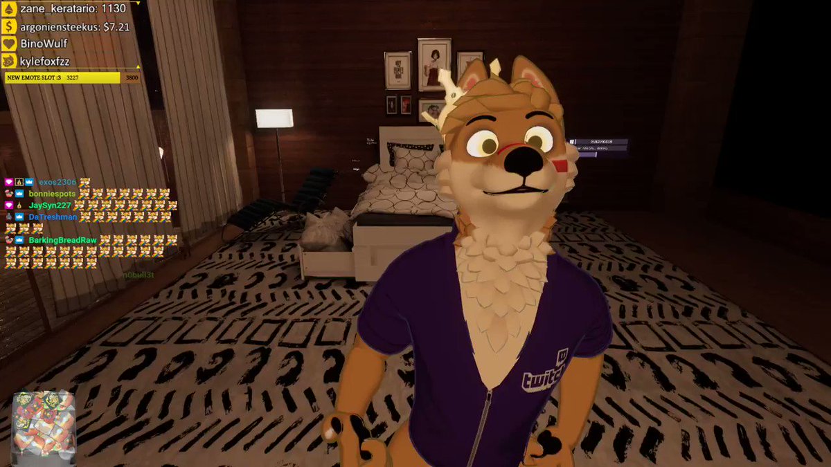 itsYaBoiWhiskey on X: Dingo Boi going live on twitch once more