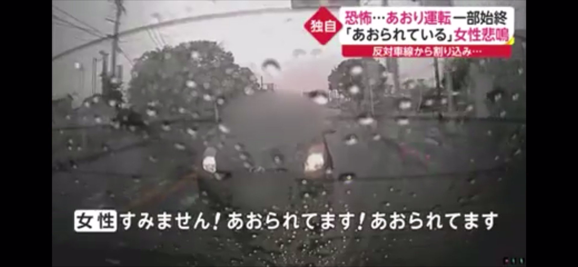 やよい 頼むから2度と運転せんといて キャーキャーうっせぇしコレやから女は運転すんなとか言われるんや 恐怖 あおり運転 一部始終 あおられている 女性悲鳴 フジテレビ系 Fnn Yahooニュース T Co Jy3fyv16z1 T Co やよい 頼むから2度と運転せんといて キャーキャーうっせぇしコレやから女は運転すんなとか言われるんや 恐怖 あおり運転 一部始終 あおられている 女性悲鳴 フジテレビ系 Fnn Yahooニュース T Co Jy3fyv16z1 T Co