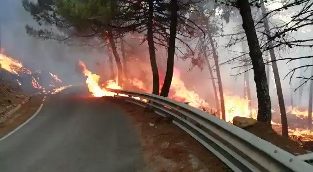 Вбудоване відео