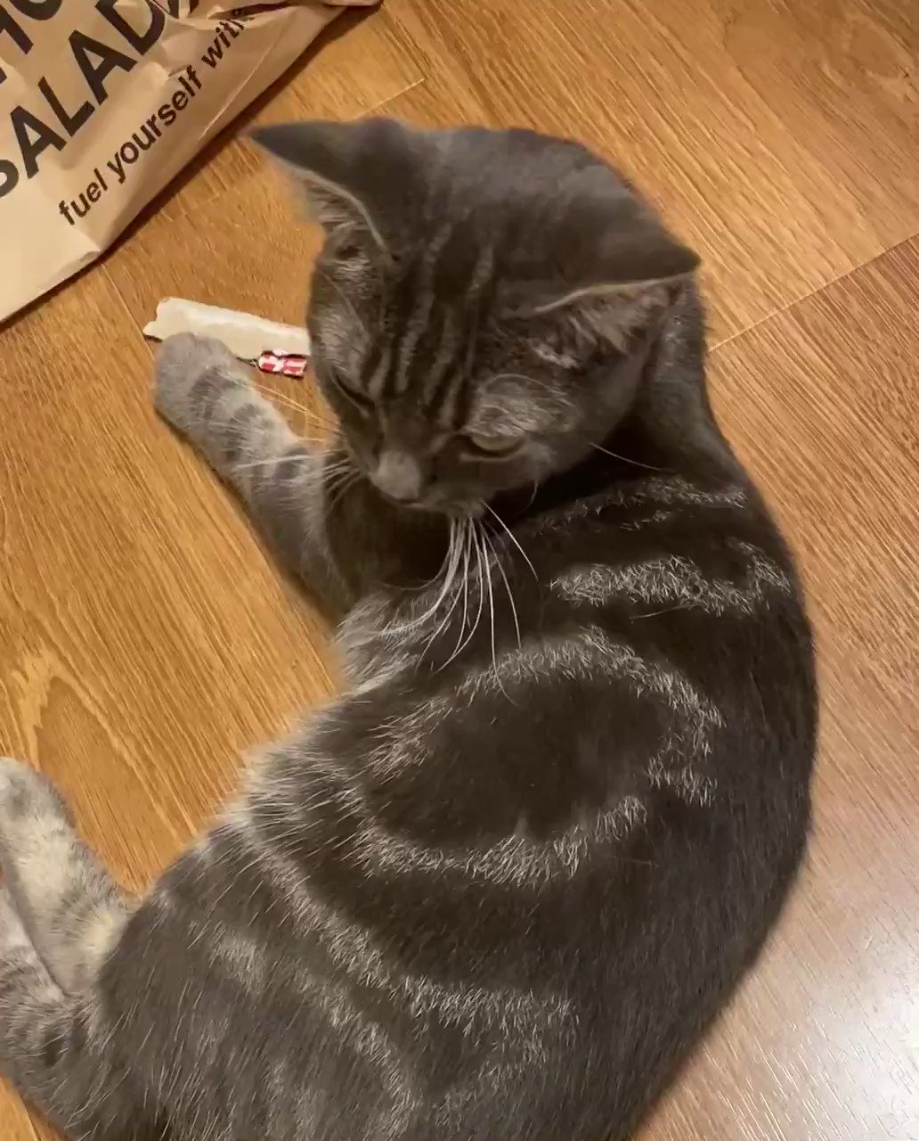 ねこ♡発送は週末出品です ジャンボ🇯🇵 on X: 