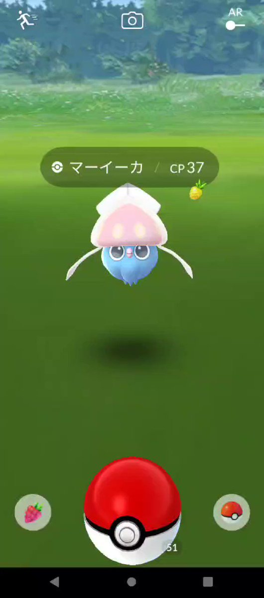 ソードシールド マーイーカの種族値 わざ 特性など能力と入手方法 ポケモン剣盾 攻略大百科