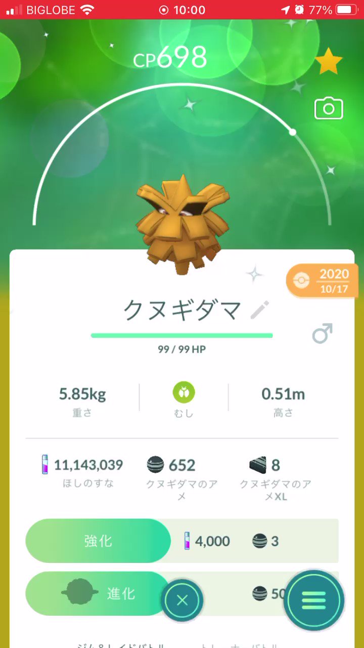 クヌギダマ Twitter Search Twitter