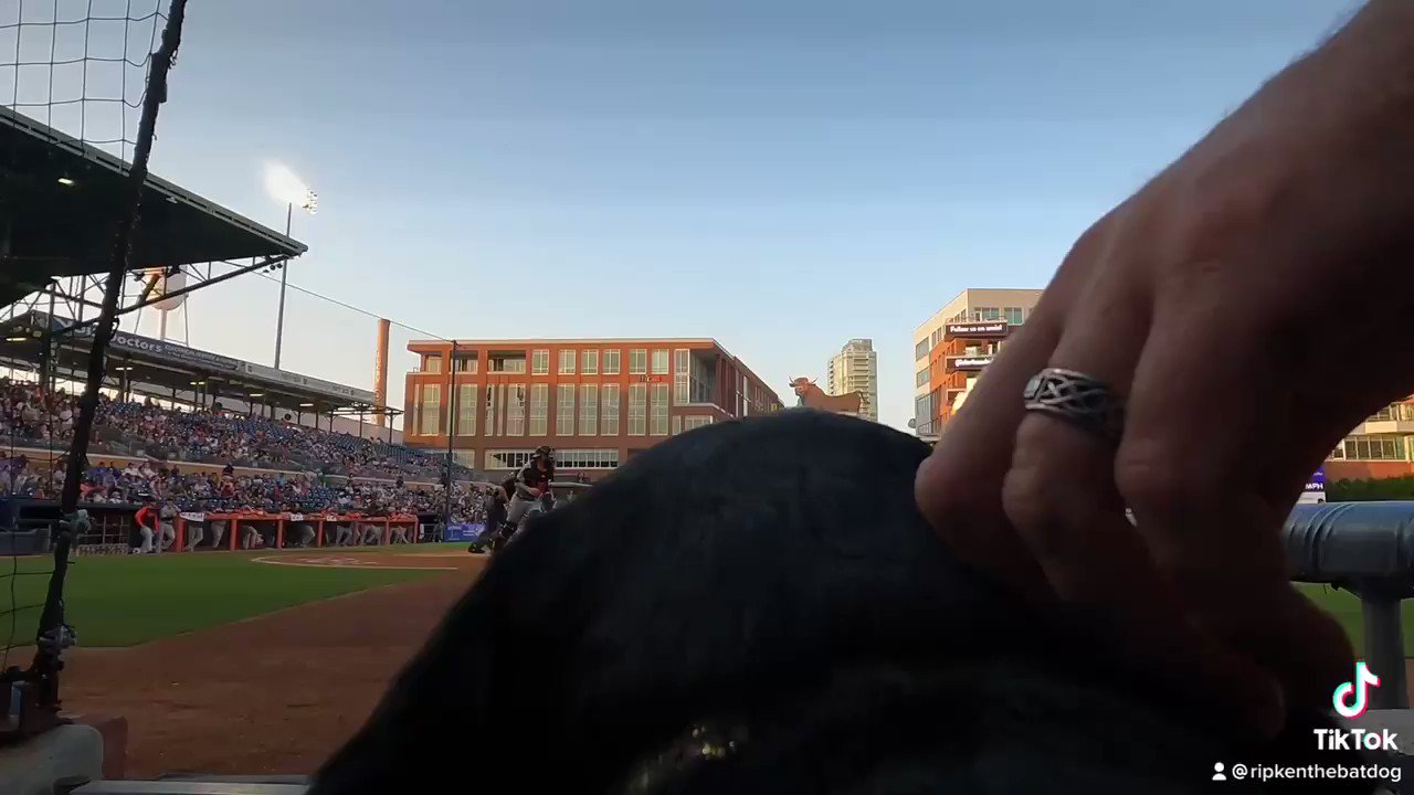 [分享] 光芒3A 球僮狗的第一視角