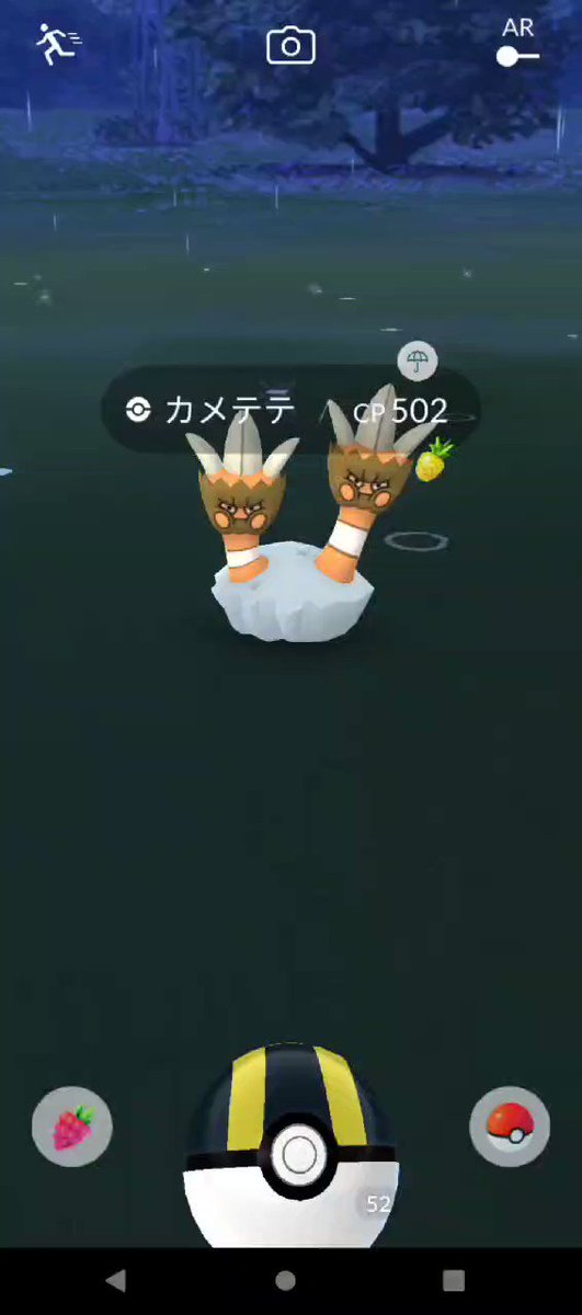 ポケモンgo カメテテの色違い 入手方法と実装状況 攻略大百科 ポケモンgo カメテテの色違い 入手方法と実装状況 攻略大百科