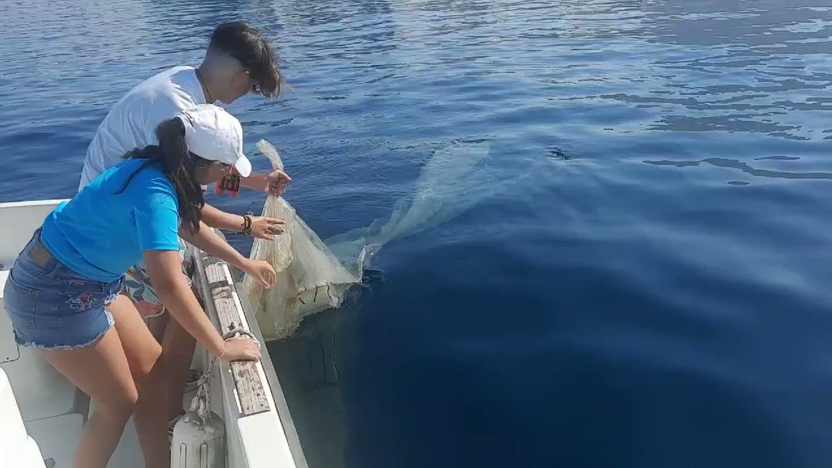 #MedOceanHeroes tackled #plasticpollution frontlines at sea 

In a bid to support #CUTW we scoured the #BayOfGibraltar & netted out floating plastic items ensuring these do not harm our #wildlife & before they reach our shores

This large piece a sure trap for any marine animal