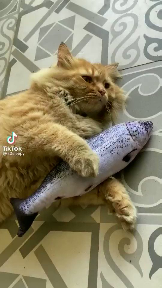 @ulat_bulu_buluu0027s video Tweet