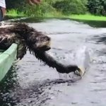 ナマケモノがかわいい!お水で遊びたいのは人間も動物も同じなんですね!