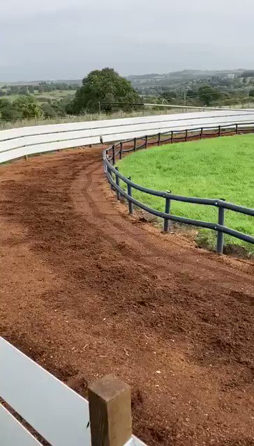 This question always pops up,“How do you train a greyhound to run?” Well this whirligig is one method @JillSutherst1 uses to train hers. Retired champion Witton Derecho here having a bit of fun around the circuit #training #lovethedogs https://t.co/H4QlumSlqp