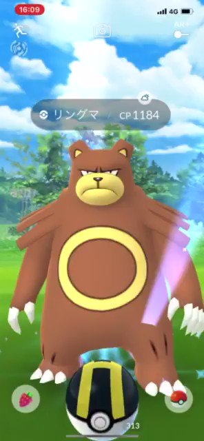 ポケモンgo リングマの入手方法 能力 技まとめ 攻略大百科