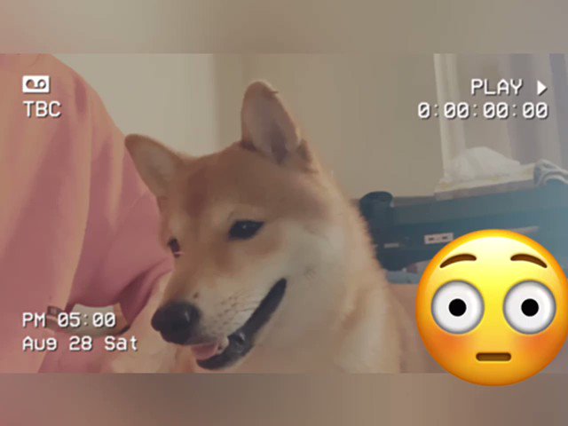 ひろせだいすけTwitter投稿サムネイル画像