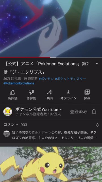 تويتر リーリエ ポケモン البحث في تويتر