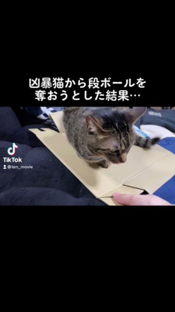 てん動画 Yukichi Ch Twitter