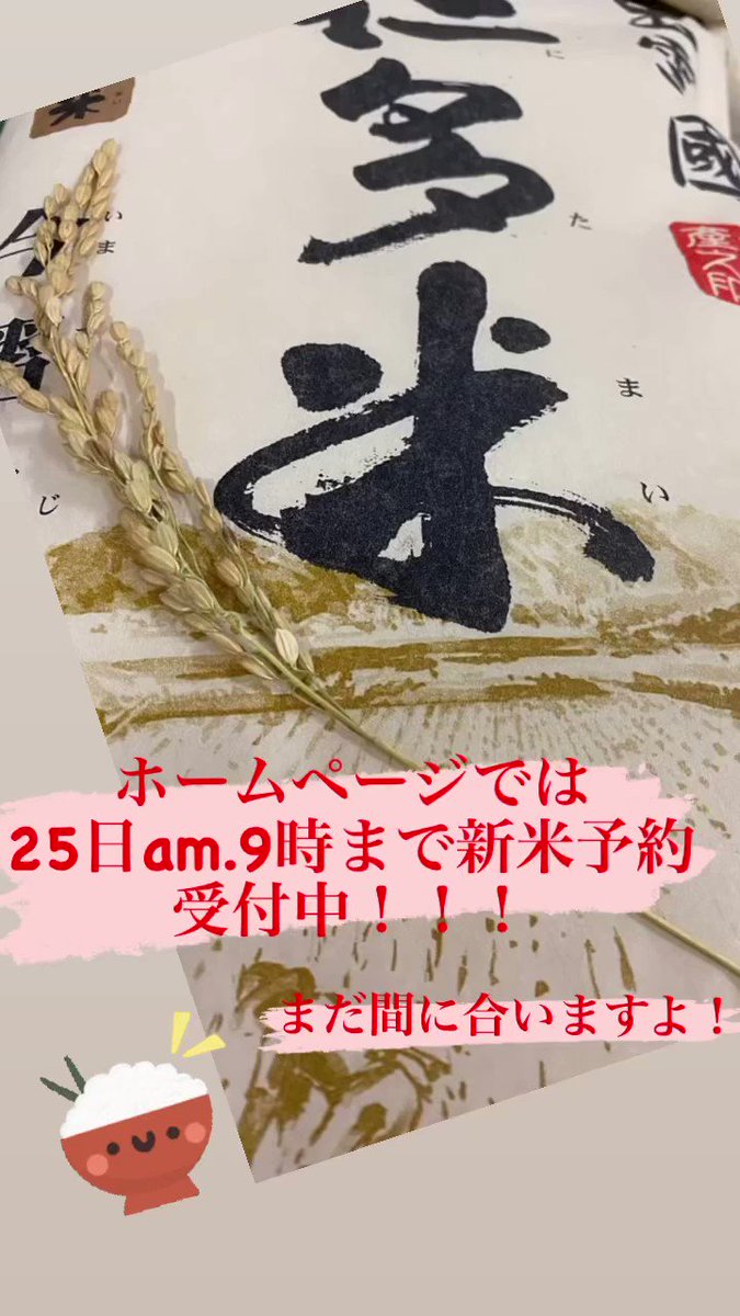 @okuizumonitamai's video Tweet @okuizumonitamai's video Tweet