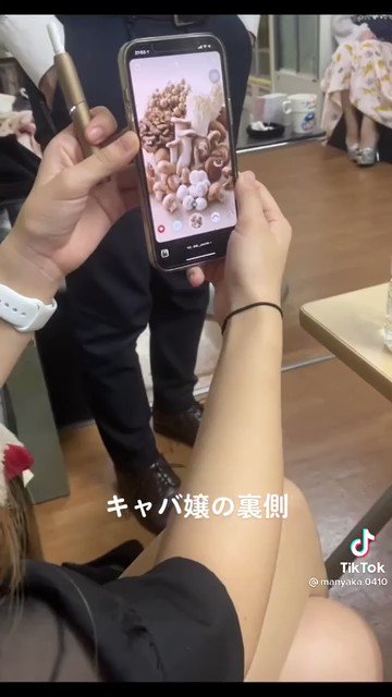 트위터, twitter - 딸플릭스