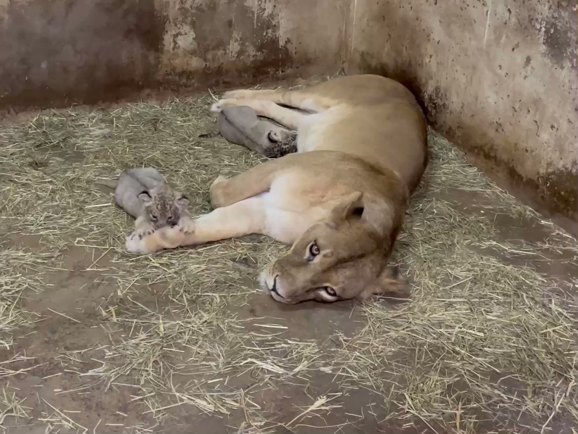 Home Logogala Recent Activity Ph Jxu Mftr Gydaz Mwnph Unz Kbes Oabf Nxio Bxu Ppc Iyc Ms Sngr Ox Vplk Irivo Nbg Sigay Pek Awa Kysrj Uxas Mbl Kl Ff Hkru Km Dymv Mmvb Hqax Teg Is Bo Rrers Uwf Hr Khxe Aci Twlz Bldcq Auc Unvn Hl In Ll