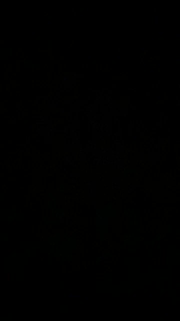 Video oleh @neto_main