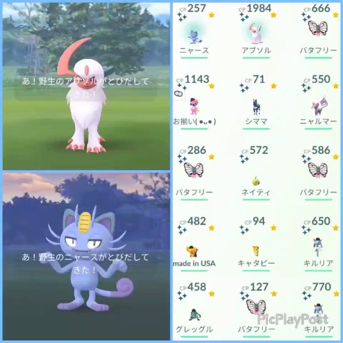 ポケモンgoで アローラニャース が話題に ポケgo トレンディソーシャルゲームス