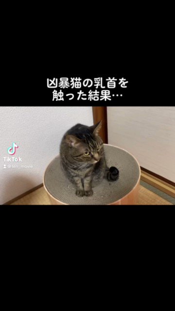 てん動画 Yukichi Ch Twitter