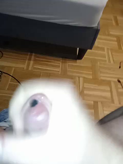 Pierced Daddy’s pics and videos