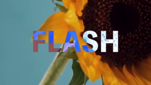 ⚡️☂️"Citrus in the rain"☂️⚡️ 10th single「FLASH」Release!!夏を取り