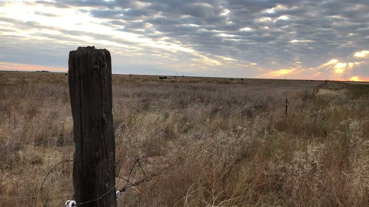 Oklahoma Department of Wildlife Conservation on Twitter "The sun is